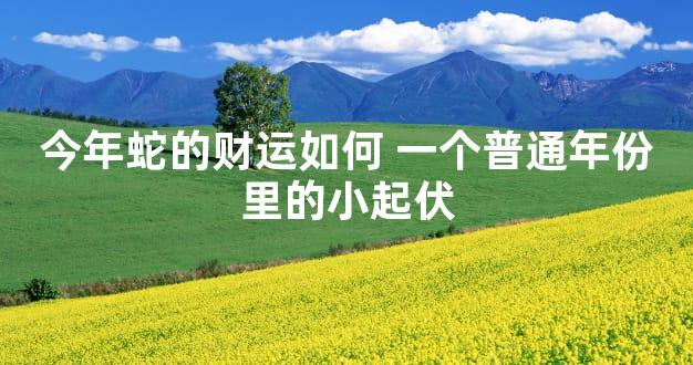 今年蛇的财运如何 一个普通年份里的小起伏